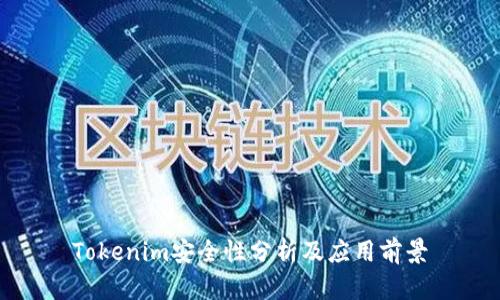 Tokenim安全性分析及应用前景
