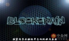 国家彩票区块链平台的现状与未来
