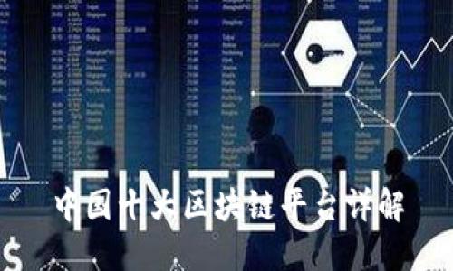 中国十大区块链平台详解