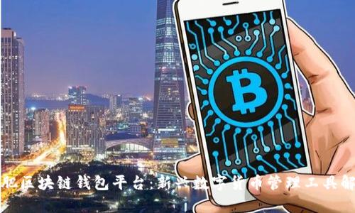 合肥区块链钱包平台：新兴数字货币管理工具解析