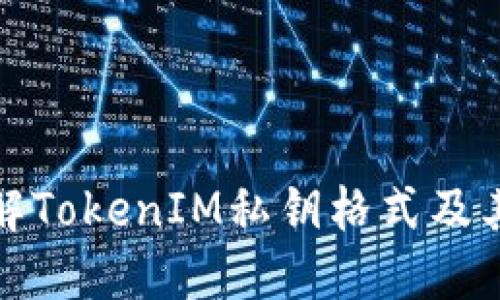 深入了解TokenIM私钥格式及其安全性
