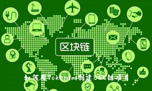 如何用Tokenim创建BSC链项目