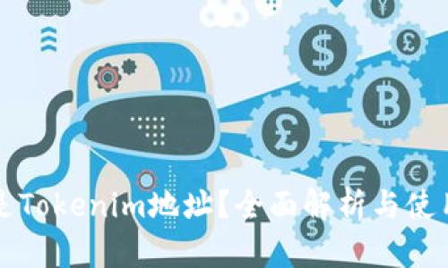 什么是Tokenim地址？全面解析与使用指南