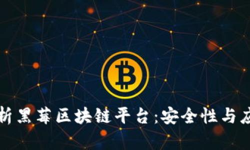 深入解析黑莓区块链平台：安全性与应用前景