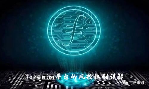 Tokenim平台的风控机制详解