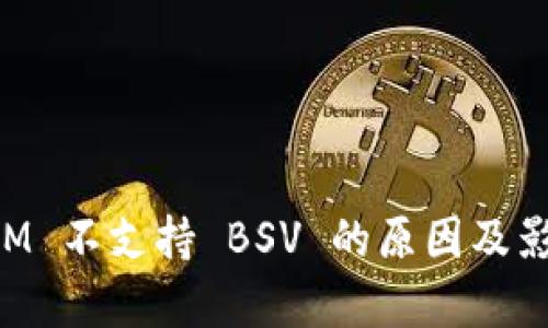 TokenIM 不支持 BSV 的原因及影响分析