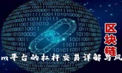 Tokenim平台的杠杆交易详解与风险分析