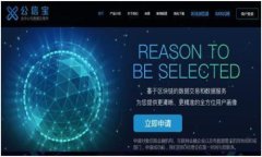   比特币如何融入TokenIM平台：优势与挑战 /  gua