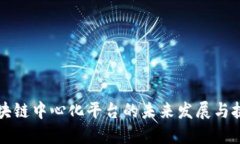 区块链中心化平台的未来发展与挑战