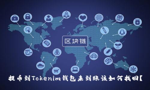 提币到Tokenim钱包未到账该如何找回？