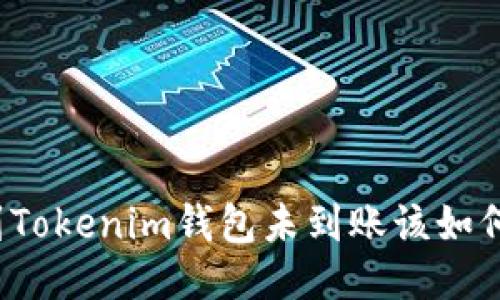 提币到Tokenim钱包未到账该如何找回？