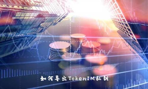 如何导出TokenIM私钥