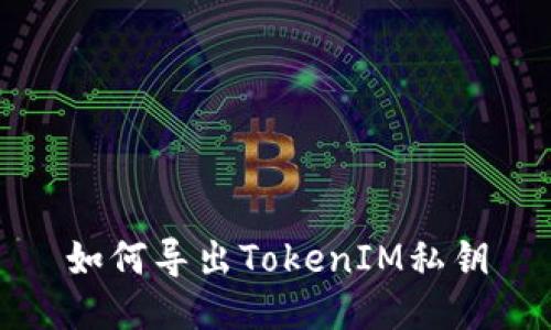如何导出TokenIM私钥