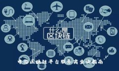 中芯区块链平台服务商查询指南