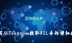 如何从Tokenim提取FIL币的详细指南