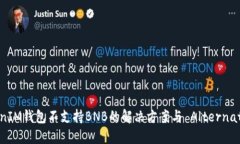 TokenIM钱包不支持BNB的解决方案与 Alternatives