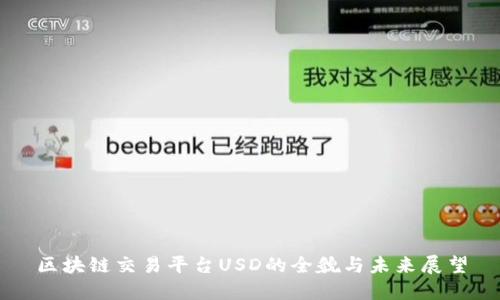 区块链交易平台USD的全貌与未来展望