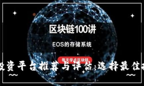 区块链投资平台推荐与评估：选择最佳投资途径