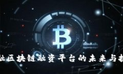 金融区块链融资平台的未来与挑战