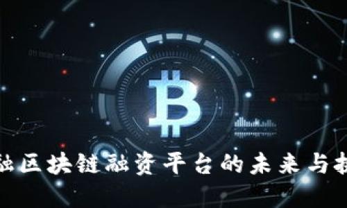 金融区块链融资平台的未来与挑战