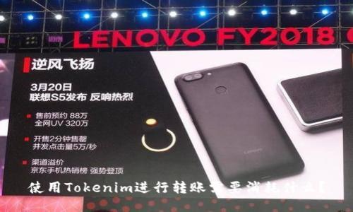 使用Tokenim进行转账需要消耗什么？