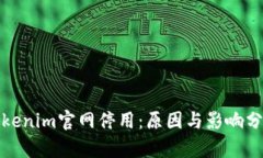 Tokenim官网停用：原因与影响分析