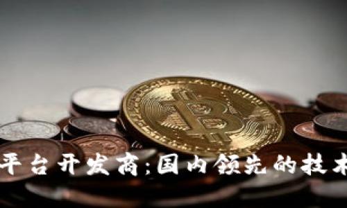 重庆区块链平台开发商：国内领先的技术与创新力量
