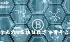  如何利用加拿大SDS区块链数字交易平台进行高效