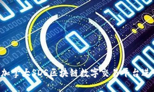  如何利用加拿大SDS区块链数字交易平台进行高效交易