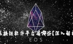 真实的区块链软件平台有哪些？深入解析与比较