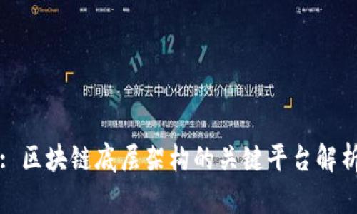 : 区块链底层架构的关键平台解析