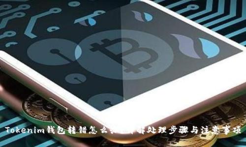 Tokenim钱包转错怎么办？详解处理步骤与注意事项