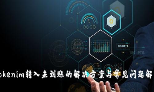 Tokenim转入未到账的解决方案与常见问题解析