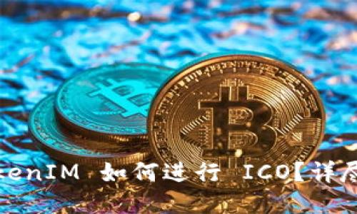 : TokenIM 如何进行 ICO？详尽指南