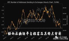 好的区块链平台推荐及其特点分析