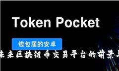 中国未来区块链币交易平台的前景与挑战