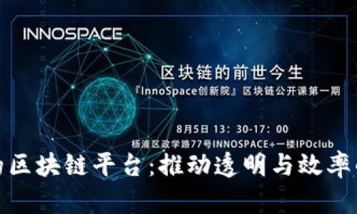 政府部门的区块链平台：推动透明与效率的创新之路