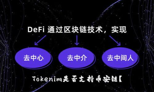 Tokenim是否支持币安链？