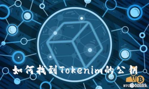 如何找到Tokenim的公钥