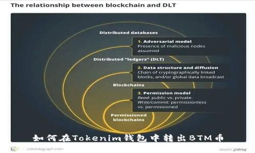 如何在Tokenim钱包中转出BTM币