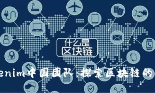 Tokenim中国团队：探索区块链的未来