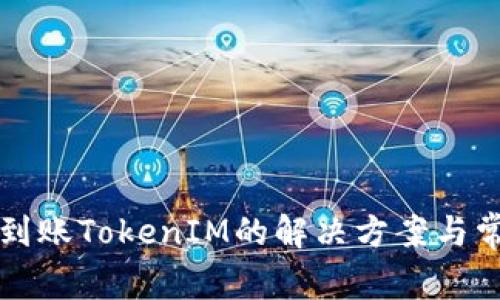 钱包不到账TokenIM的解决方案与常见问题