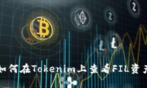 如何在Tokenim上查看FIL资产
