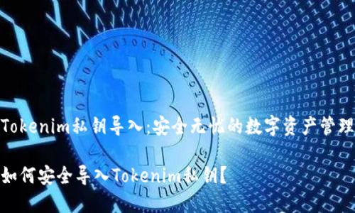 Tokenim私钥导入：安全无忧的数字资产管理

如何安全导入Tokenim私钥？