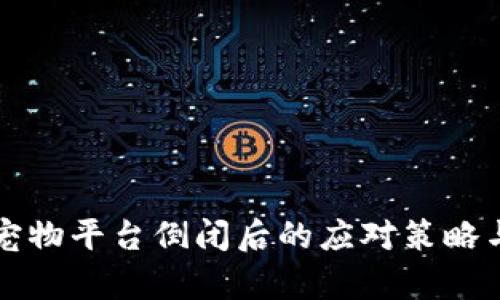 区块链养宠物平台倒闭后的应对策略与解决方案