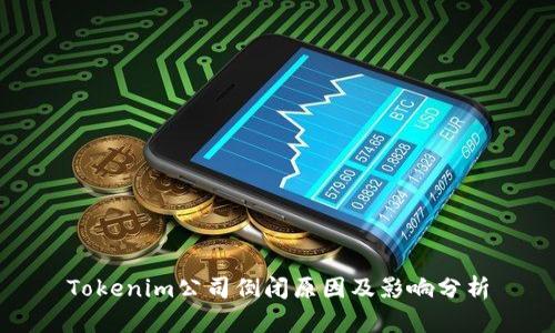 Tokenim公司倒闭原因及影响分析