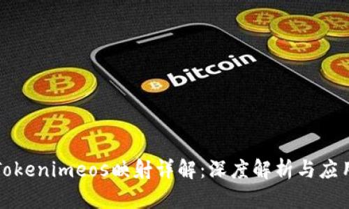 Tokenimeos映射详解：深度解析与应用