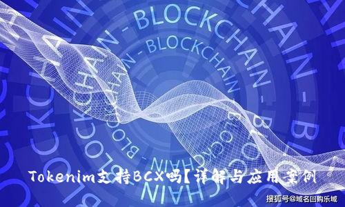 Tokenim支持BCX吗？详解与应用案例