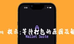 Tokenim 提示：等待打包的原因及解决方案