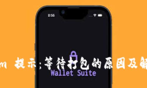 Tokenim 提示：等待打包的原因及解决方案